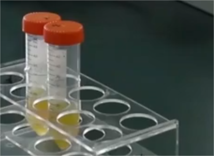 LB培养基(Luria-Bertani) LB培养基(Luria-Bertani)