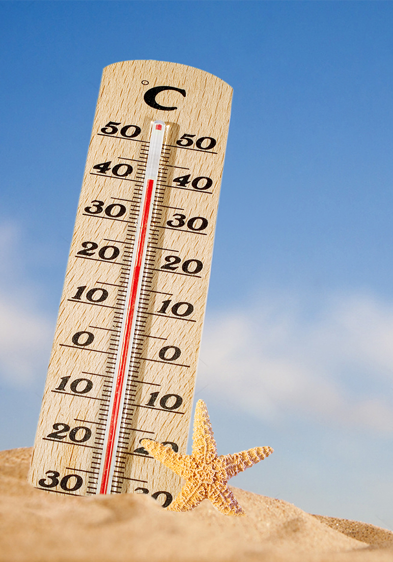 高温天气 高温天气